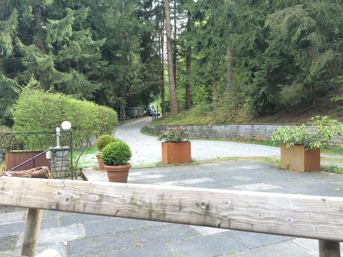 Ferienhaus Hirtenwiese Willingen  Zewnętrze zdjęcie